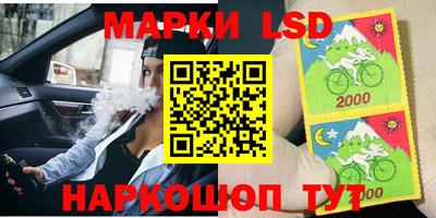 прущие грибы Будённовск