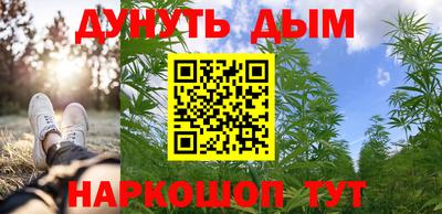 прущие грибы Будённовск