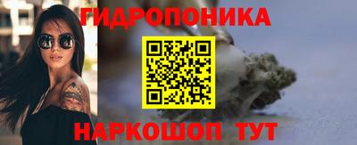 прущие грибы Будённовск