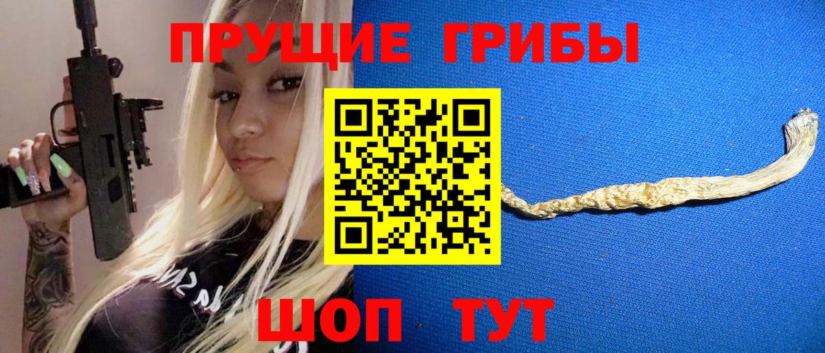 Галлюциногенные грибы Cubensis Мурино