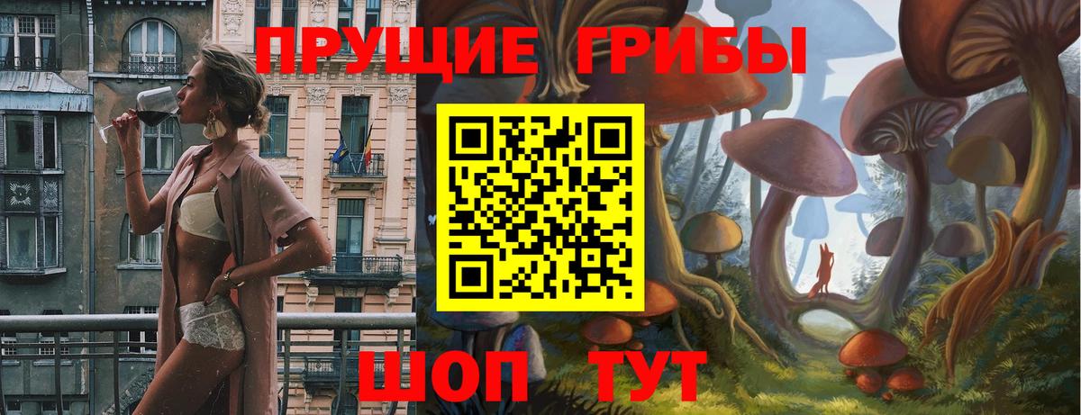 Галлюциногенные грибы Psilocybe  Галлюциногенные грибы мухоморы  что такое   Мурино  Вход с VPN 